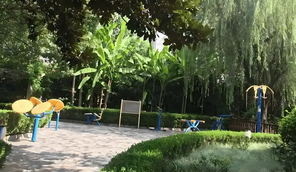 悠然俏厨娘